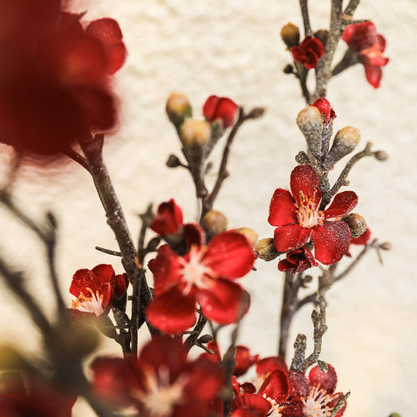 Winter Cherry Blossom Red Artificial Flower