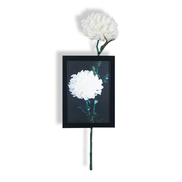 Wall Frame: Flower Mumspray White