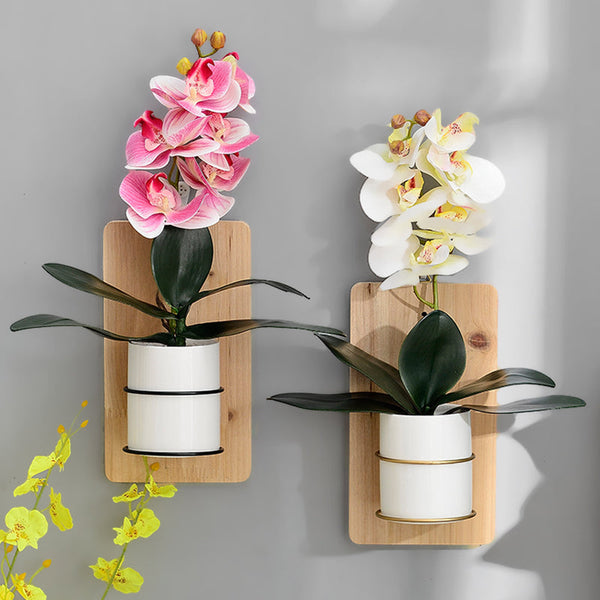 Wall Planter