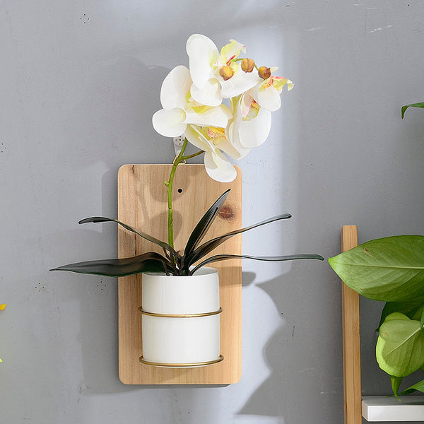 Wall Planter