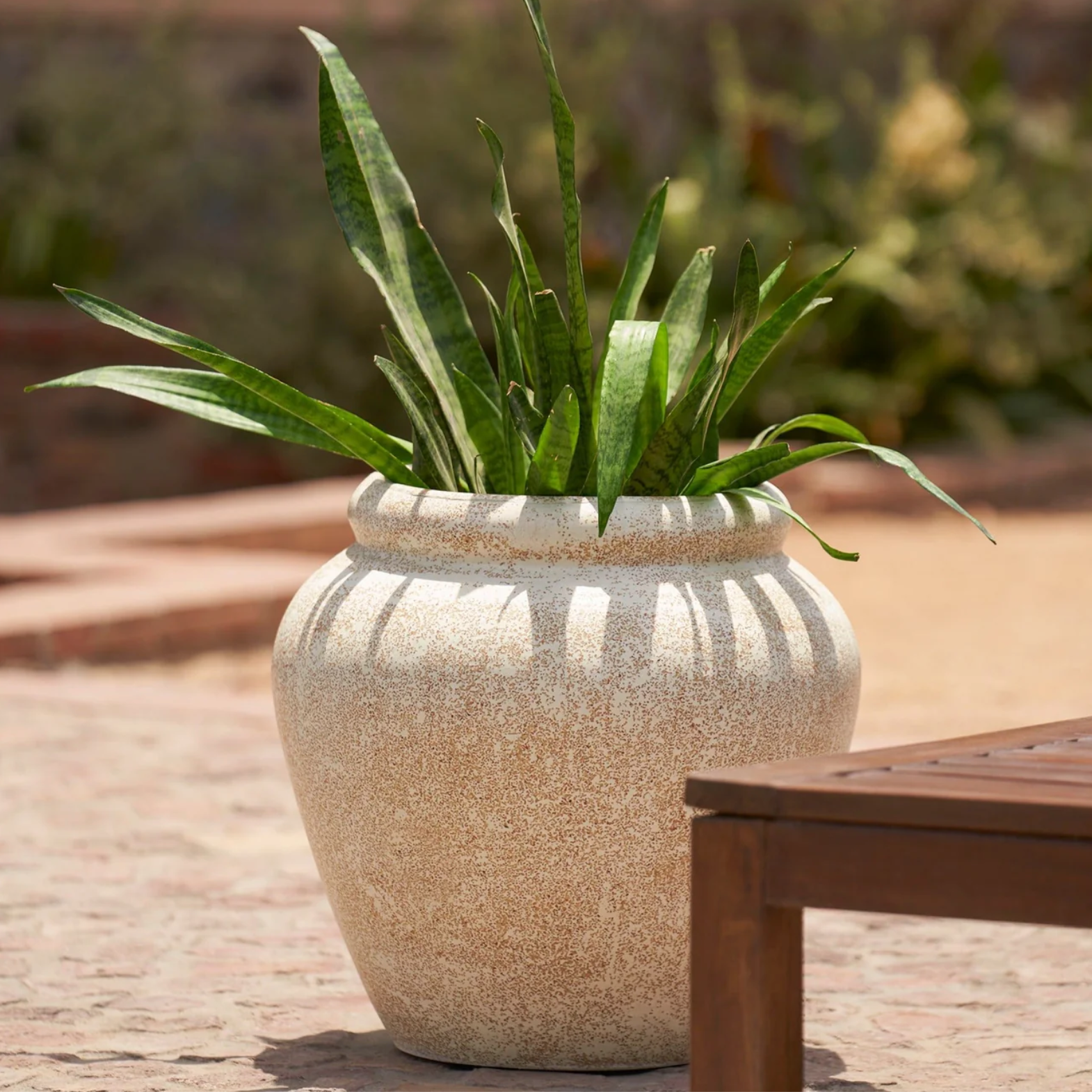 NEW IN - Rustic Tuscan Planter | Beige