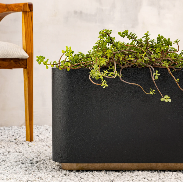 Noah Planter Box | Colours Available