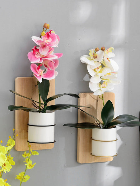 Wall Planter